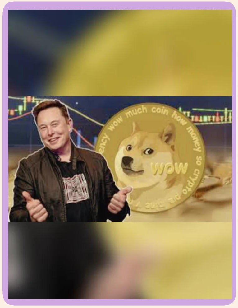 关于马斯克再次发推，Coinbase瞬间上上扬68%的信息