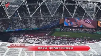 田径夜战：塞北飞鹰队淘汰对手滇池犀牛队，临门一脚致胜重拾自信的夜晚-开云（中国）官方网站